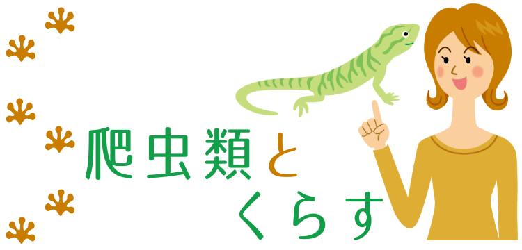 爬虫類とくらす